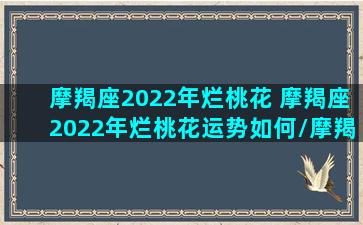 摩羯座2022年烂桃花 摩羯座2022年烂桃花运势如何/摩羯座2022年烂桃花 摩羯座2022年烂桃花运势如何-我的网站